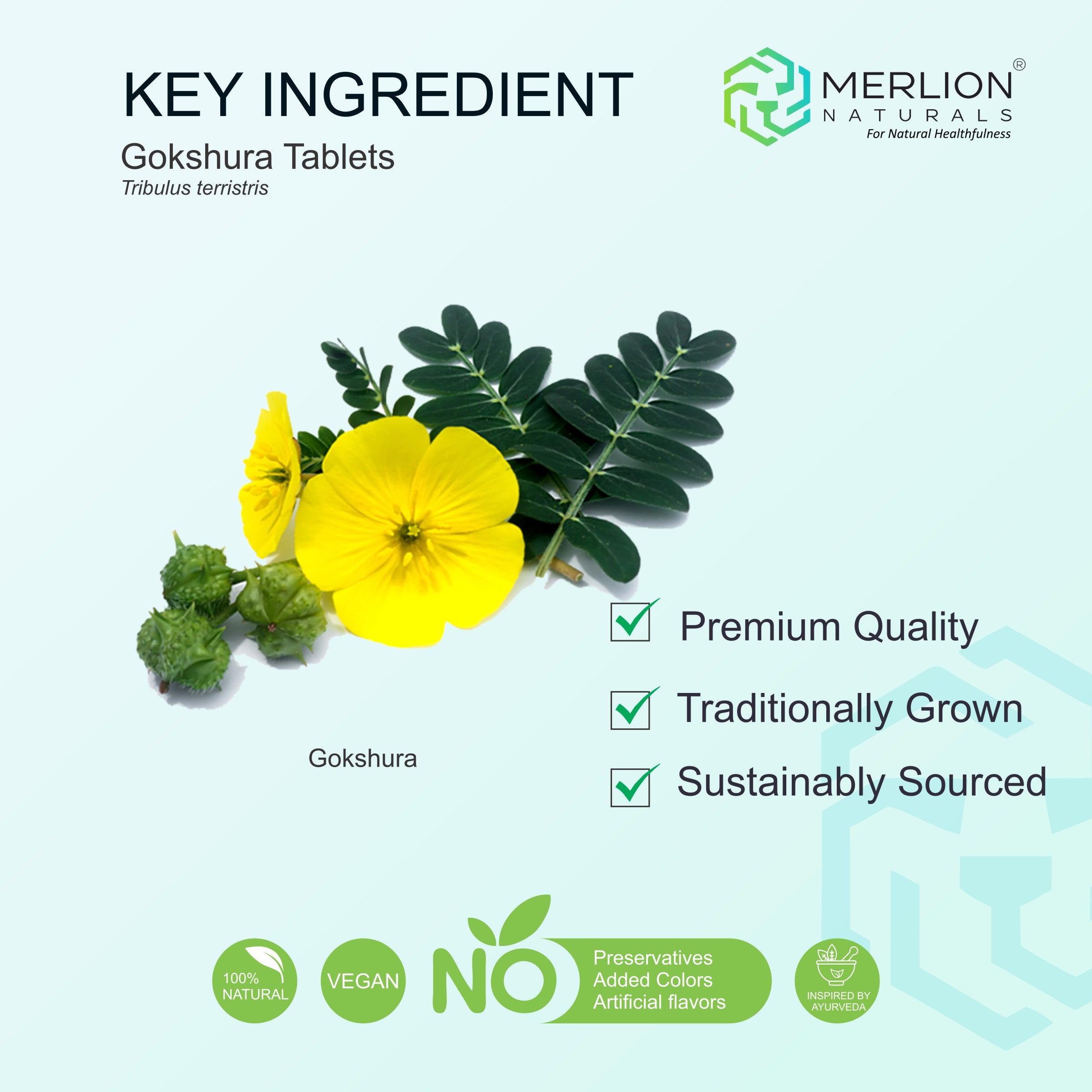 Gokshura Extract Tablets | Tribulus terrestris | 500mg