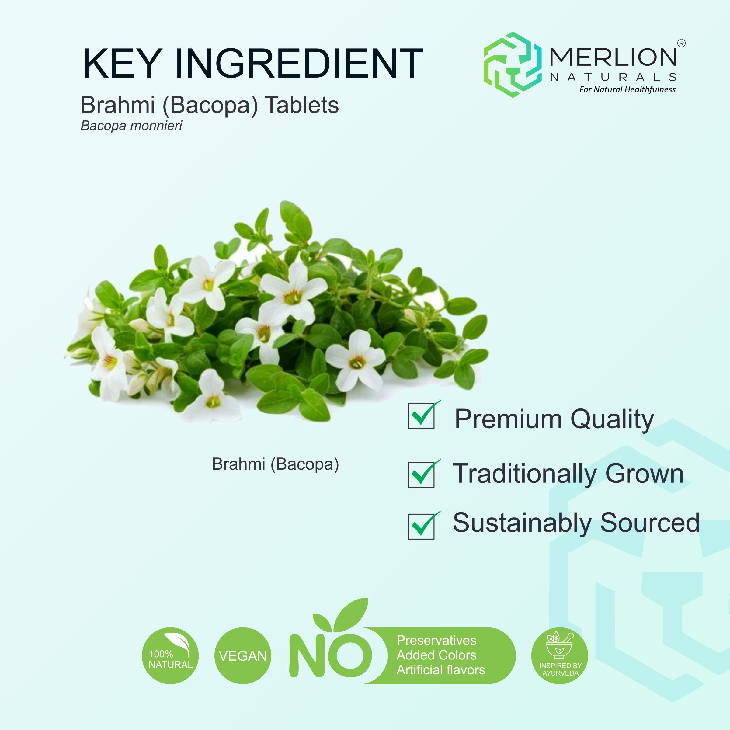 Brahmi ( Bacopa ) Extract Tablets | Bacopa monnieri | 1000mg