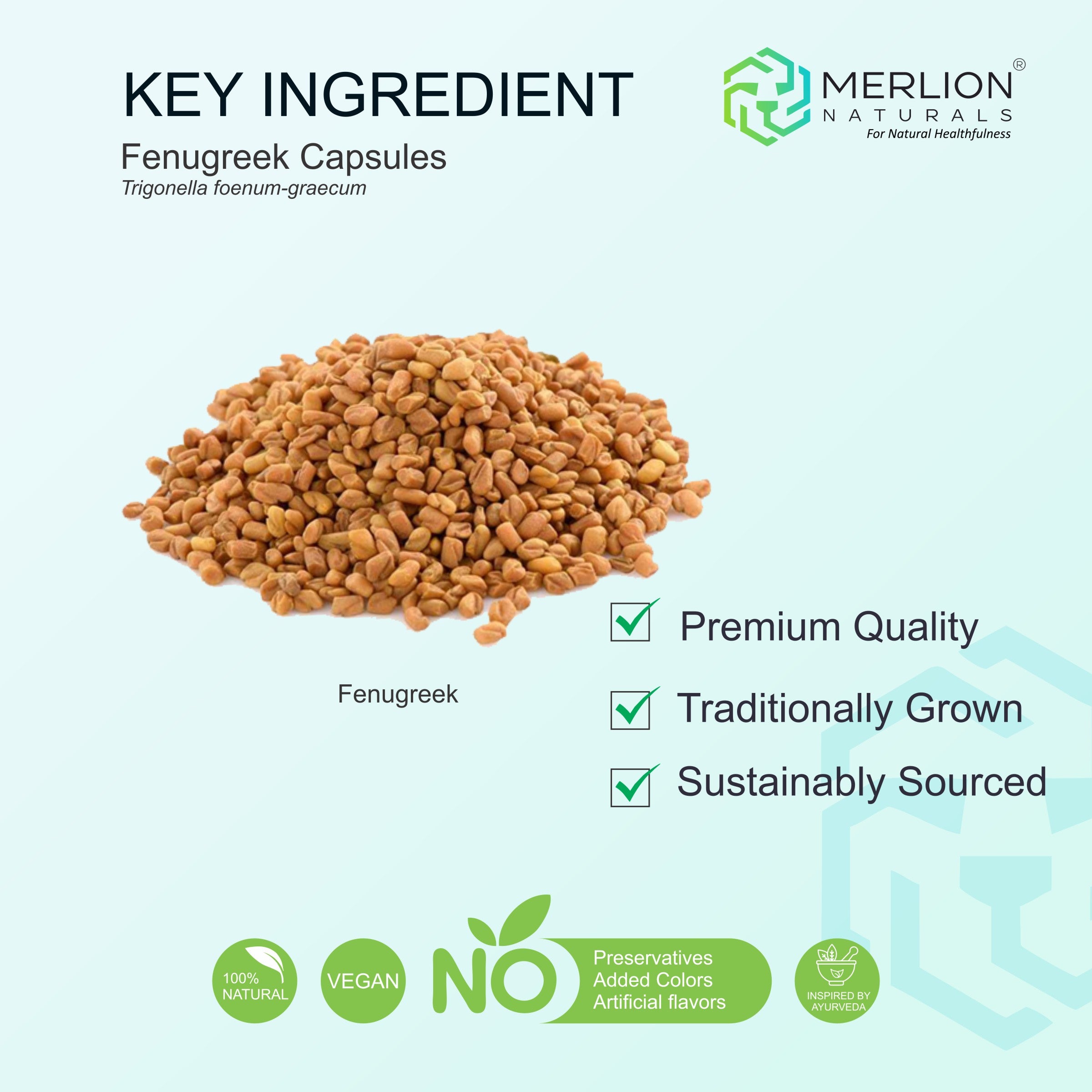 Fenugreek Capsules | Methi / Trigonella foenum-graecum | 1400mg