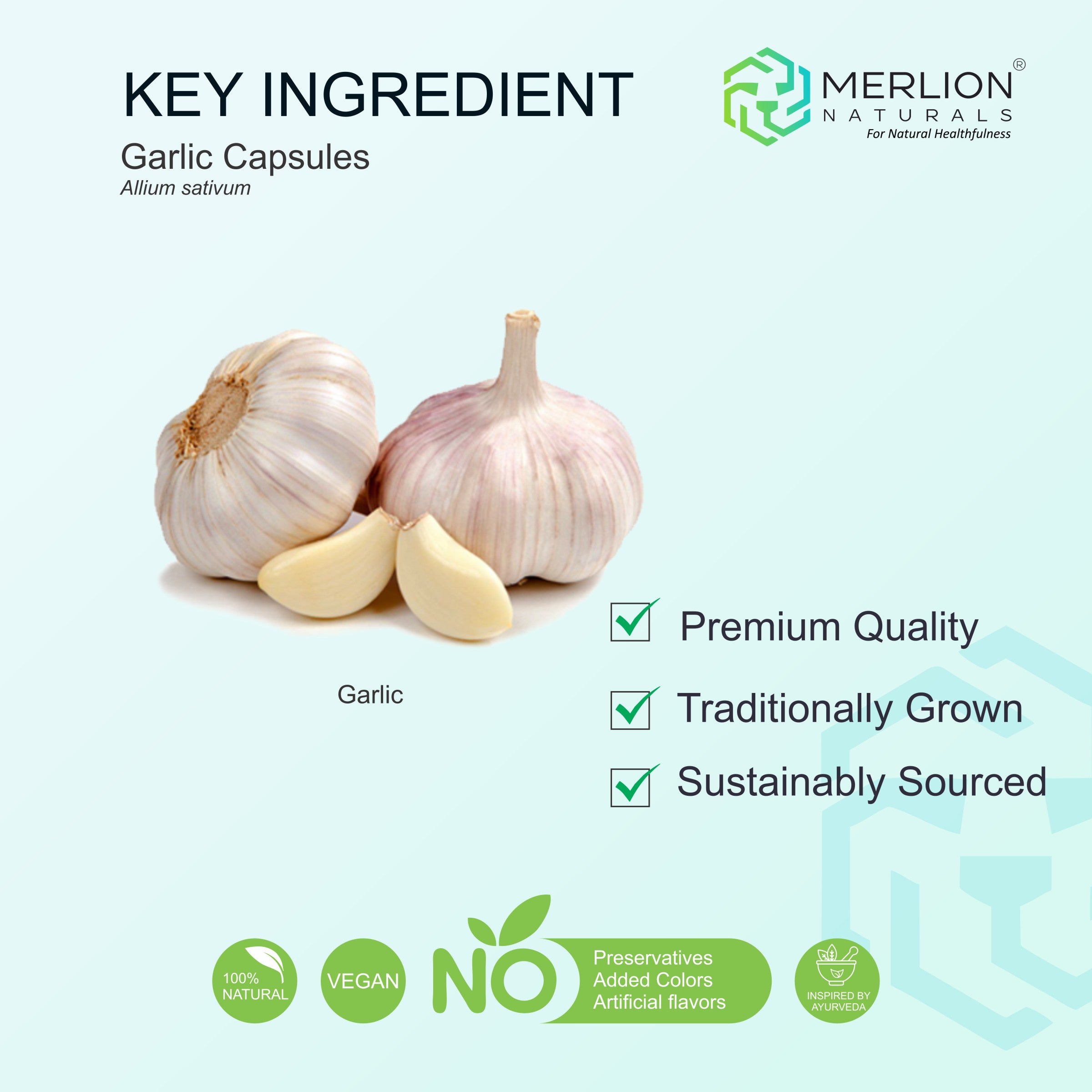 Garlic Extract Capsules | Allium sativum | 1000mg