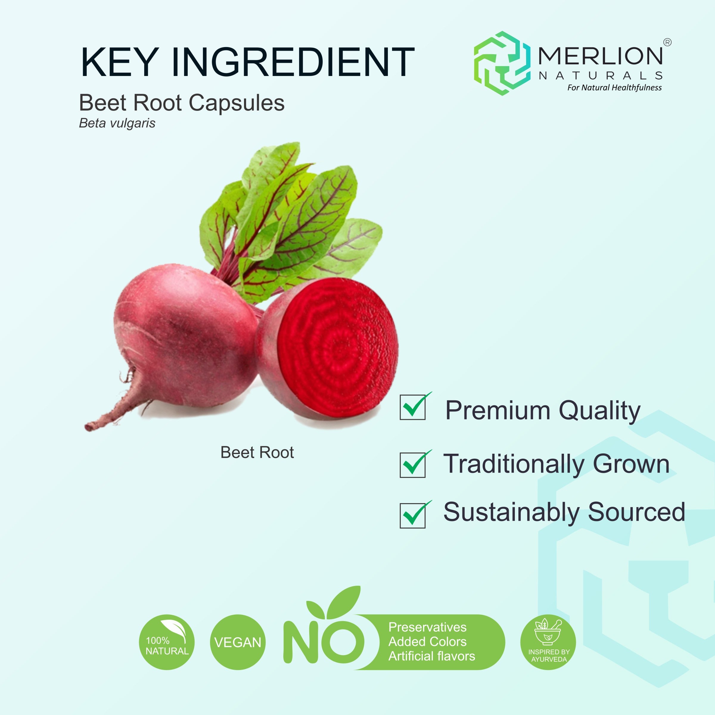 Beet Root Extract Capsules | Beta vulgaris | 1300mg