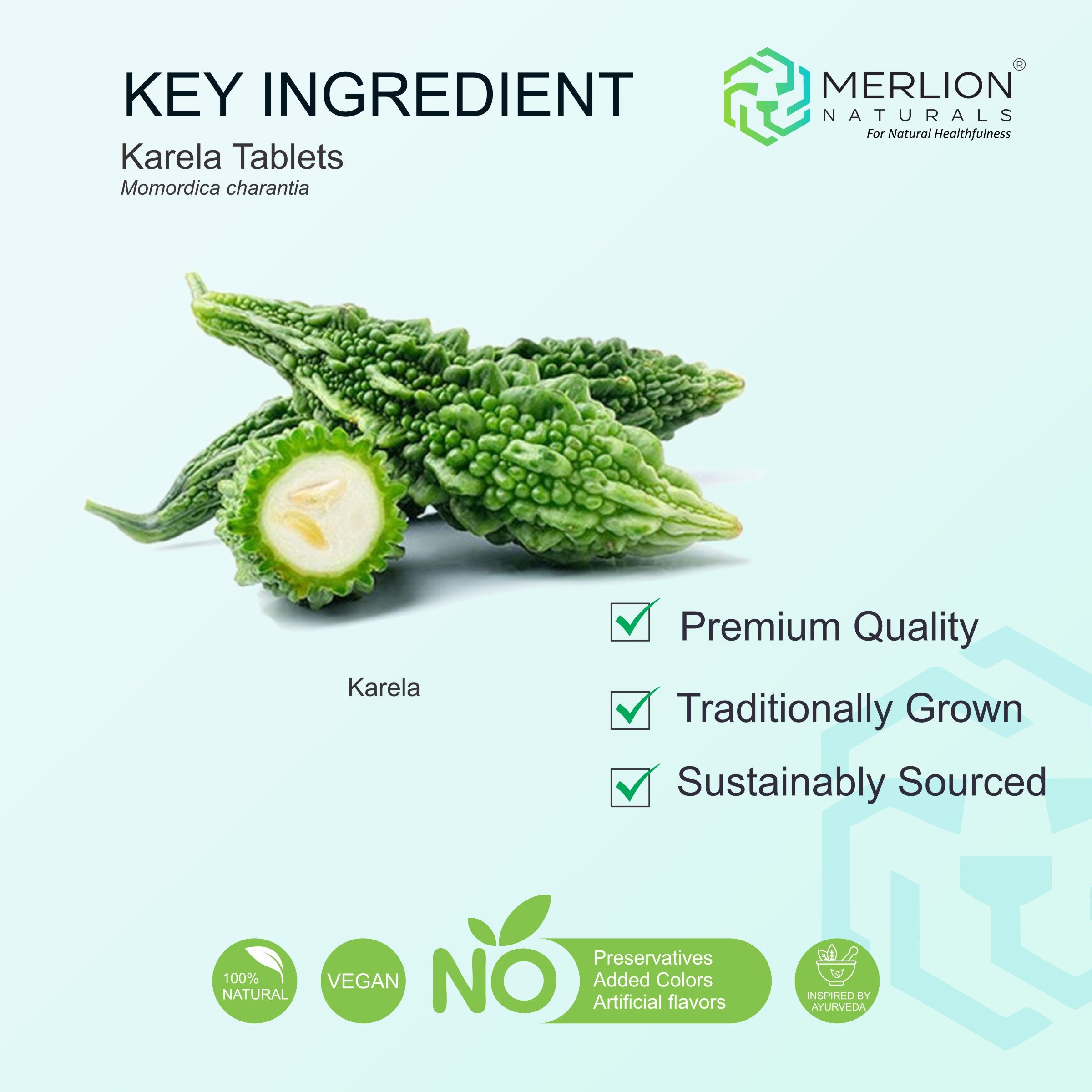 Karela Tablets (Bitter Melon), 500mg x 120 Tablets