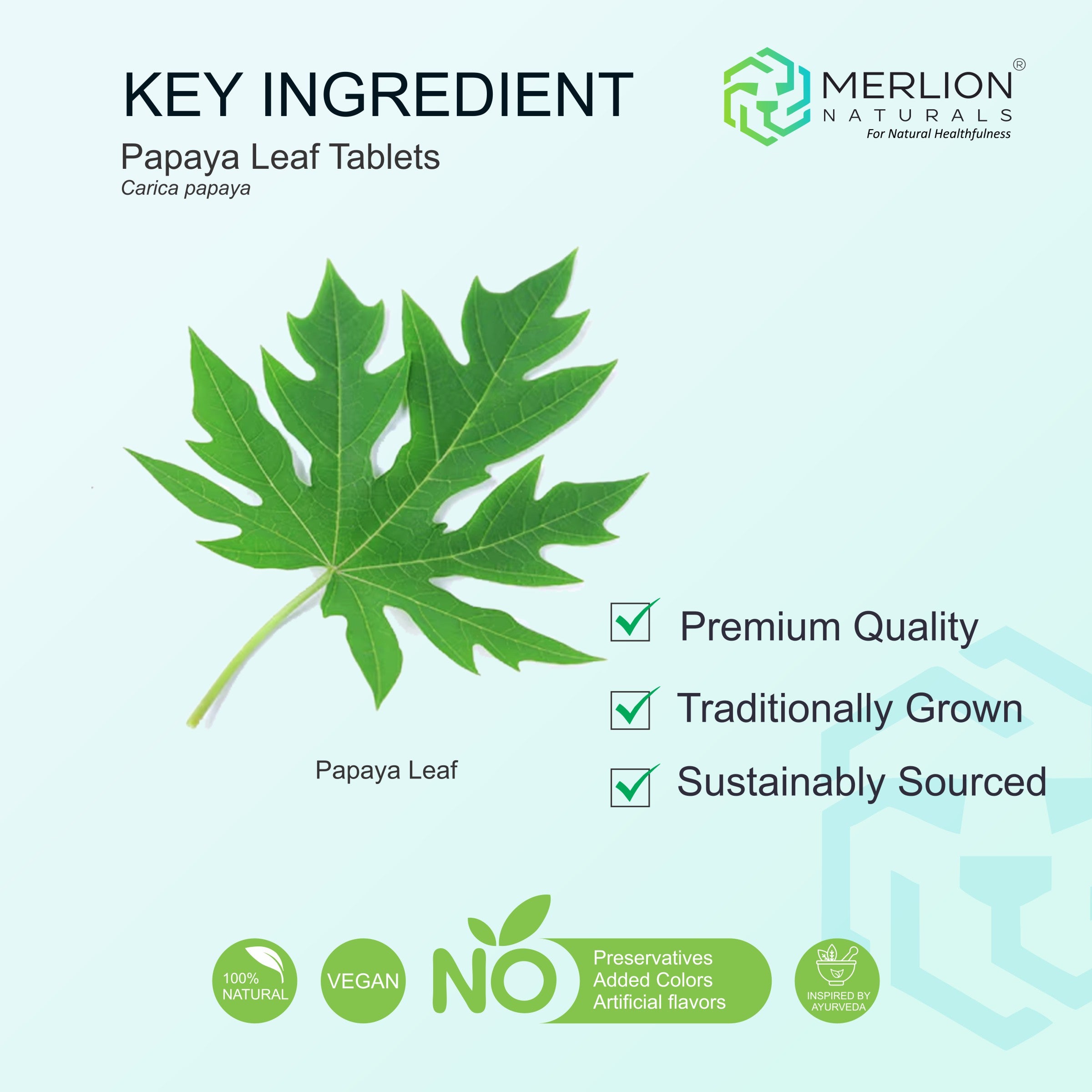 Papaya Leaf Extract Tablets | Carica papaya | 500mg