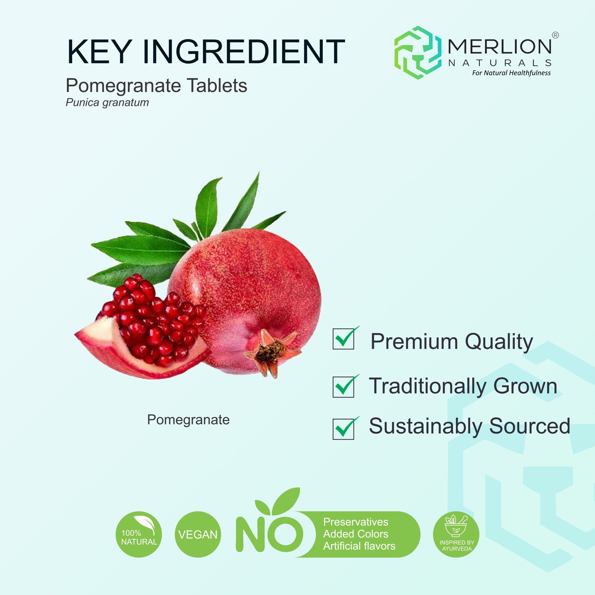 Pomegranate Extract Tablets | Punica granatum | 500mg