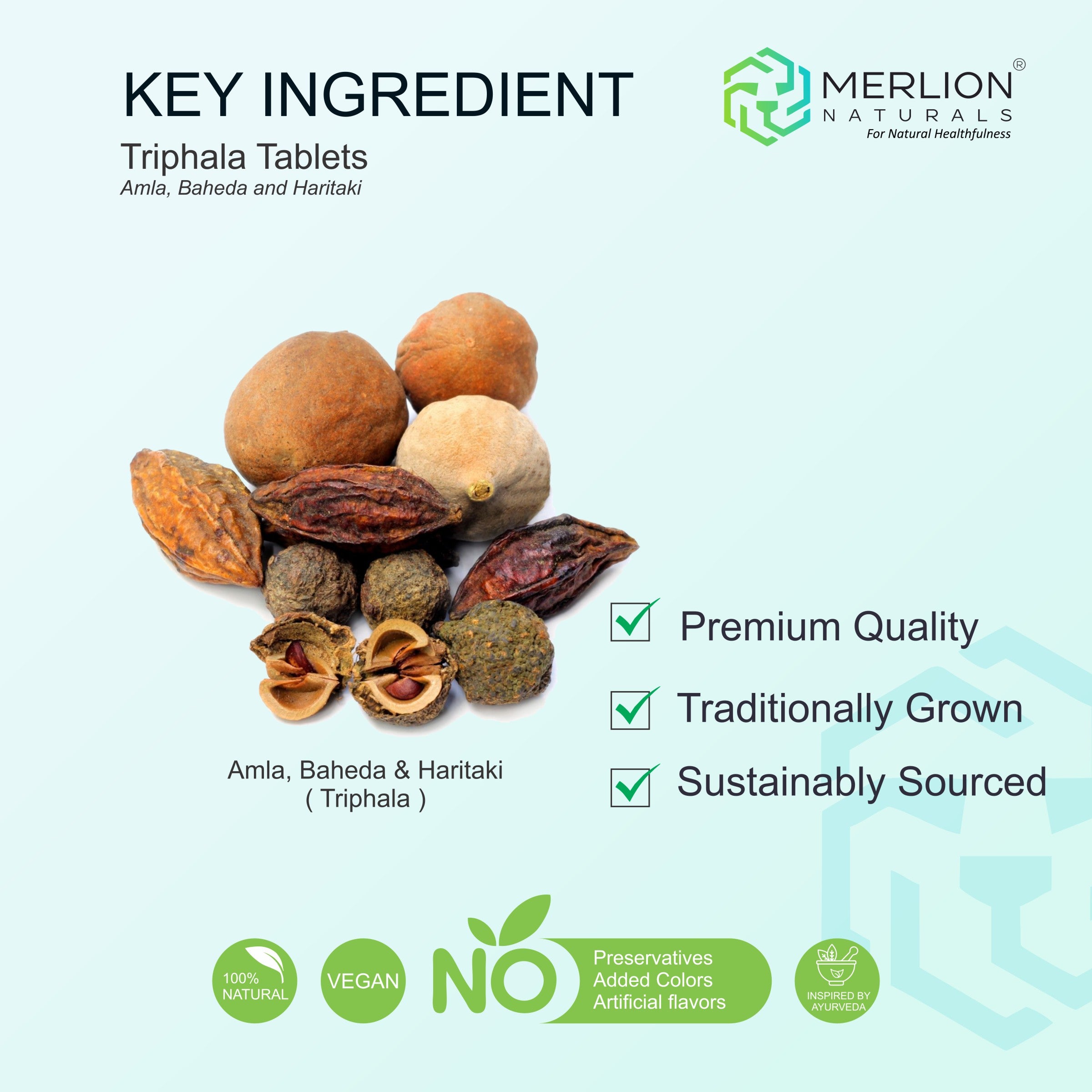 Triphala Tablets (Amla, Haritaki & Baheda), 500mg x 120 Tablets